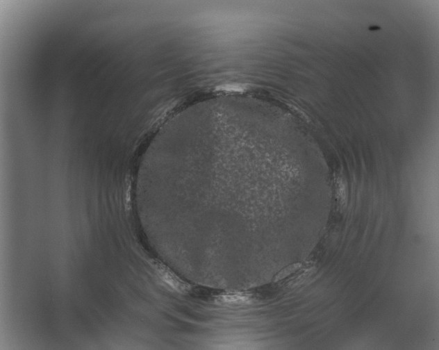 X0000062630668200601041033