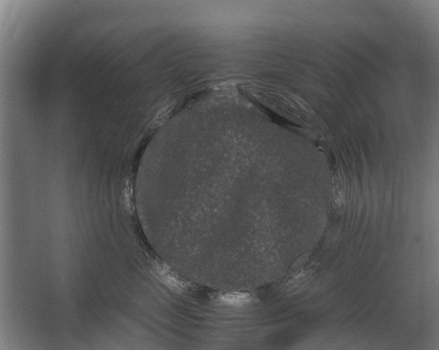 X0000062630669200601041033