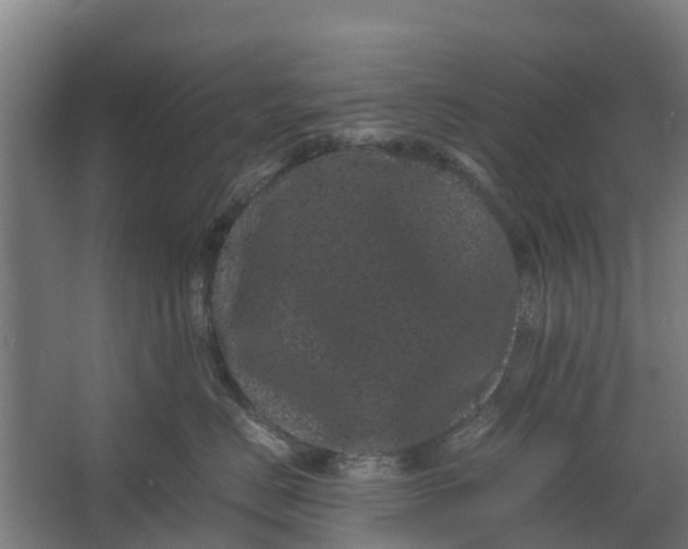 X0000062630670200601041033