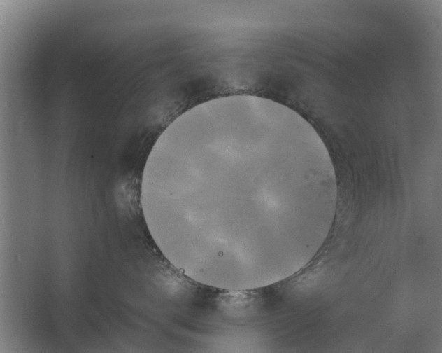 X0000062630672200601041033