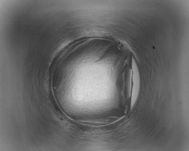 X0000062630675200601041032