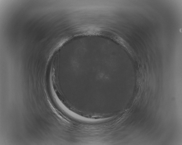 X0000062630677200601041032