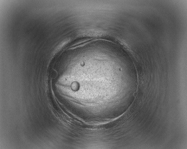 X0000062630679200601041032