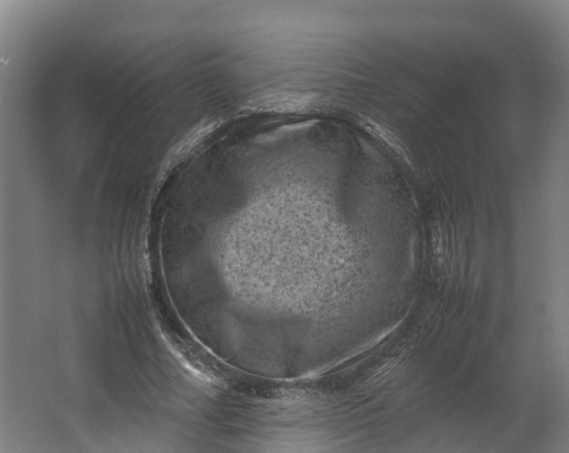 X0000062630682200601041032