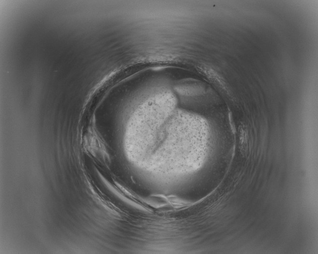 X0000062630684200601041032