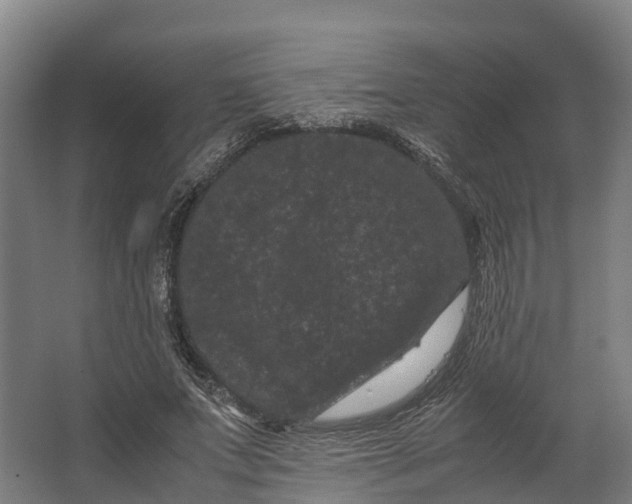 X0000062630687200601041032