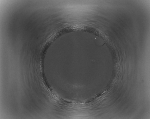 X0000062630689200601041032