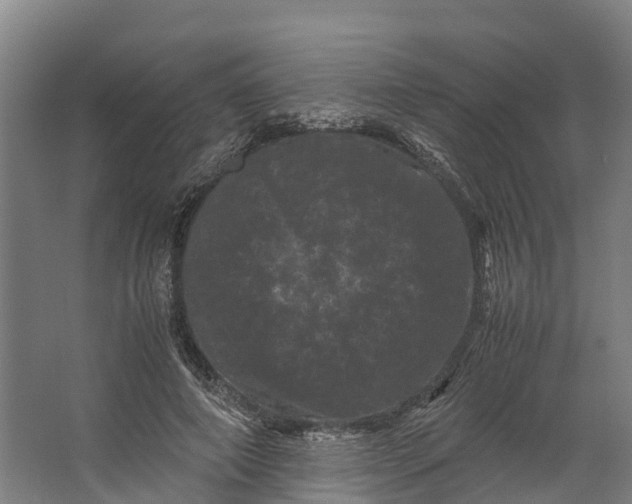 X0000062630690200601041031