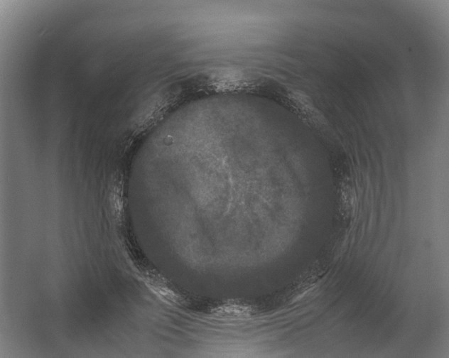 X0000062630691200601041031