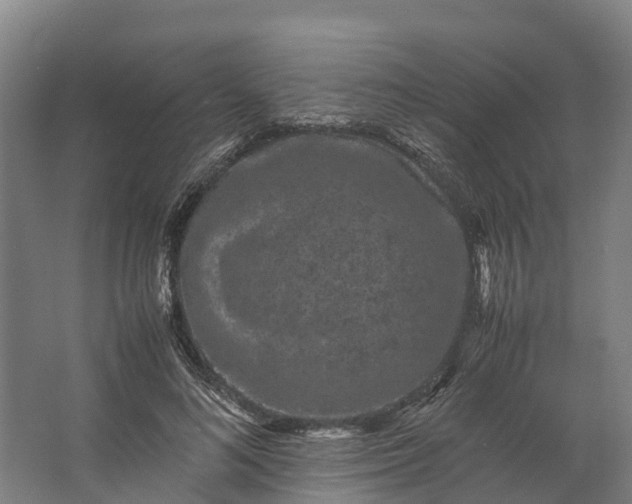 X0000062630692200601041031