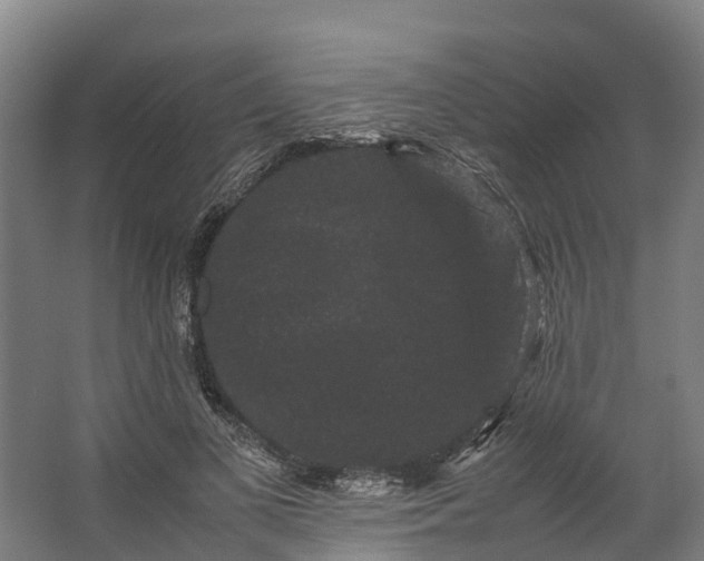 X0000062630693200601041031