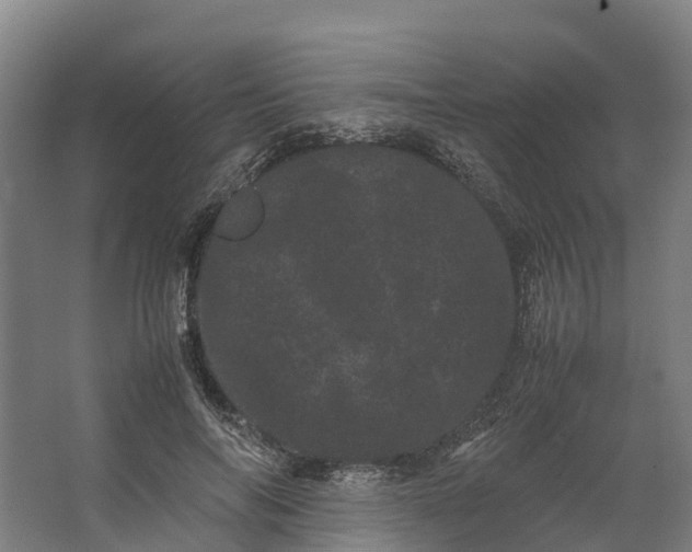 X0000062630694200601041031