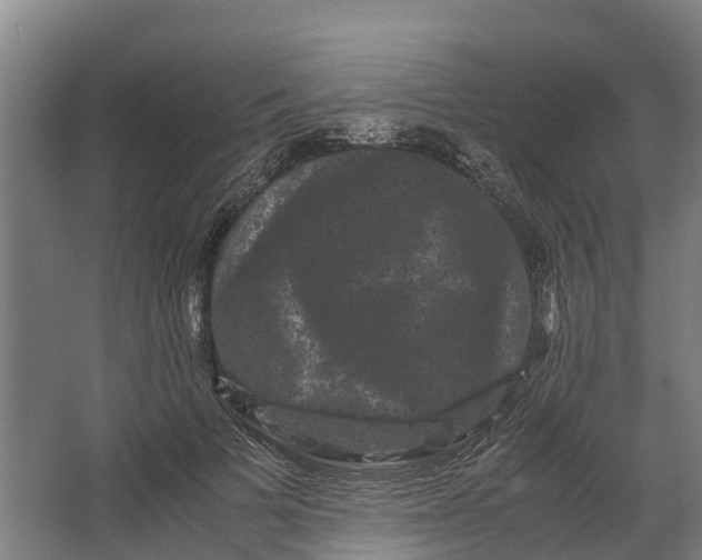 X0000062630697200601041031