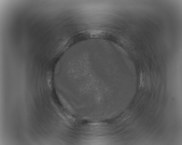 X0000062630698200601041031