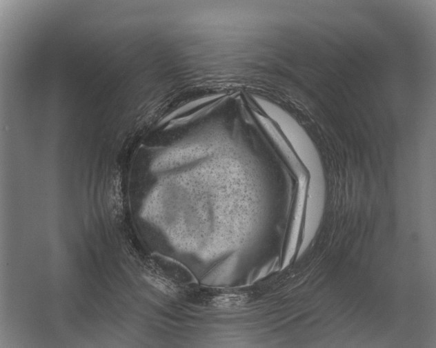 X0000062630700200601041031