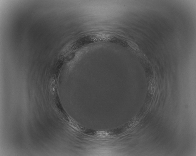 X0000062630701200601041031