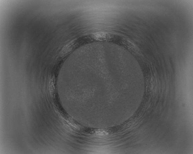 X0000062630702200601041031