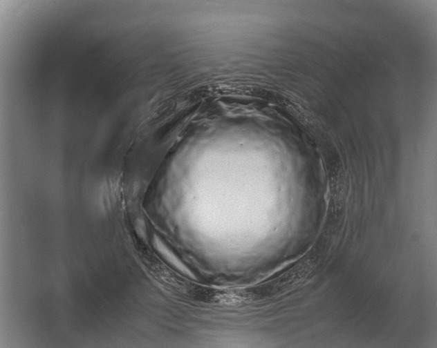 X0000062630703200601041031