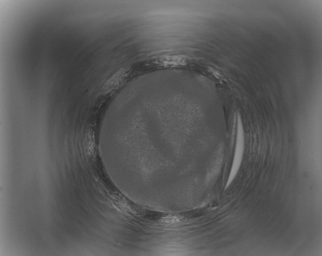 X0000062630704200601041031