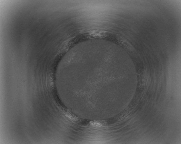 X0000062630706200601041031