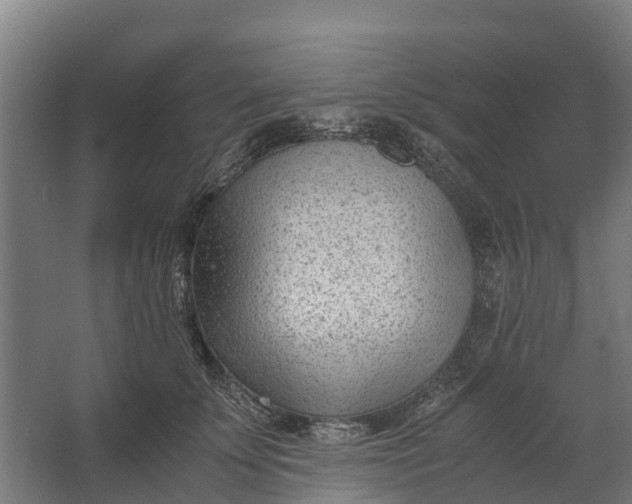 X0000062630707200601041031