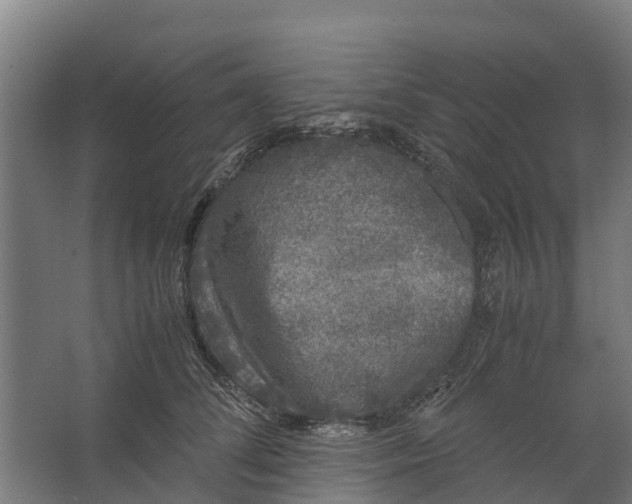 X0000062630708200601041031