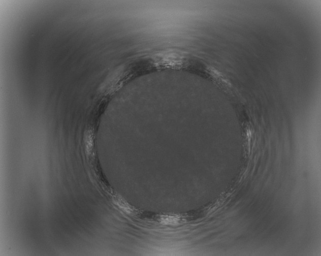 X0000062630709200601041031