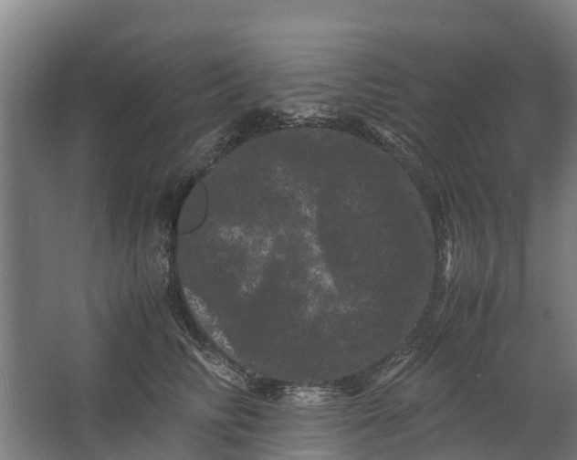 X0000062630710200601041031