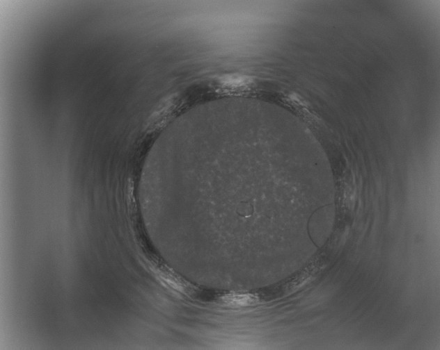 X0000062630711200601041031