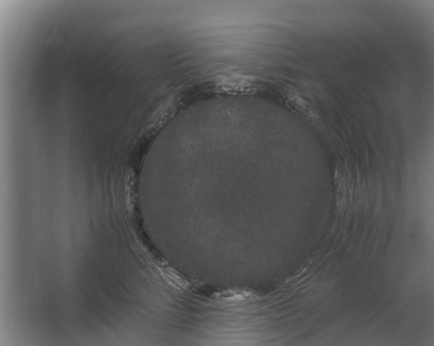 X0000062630712200601041031