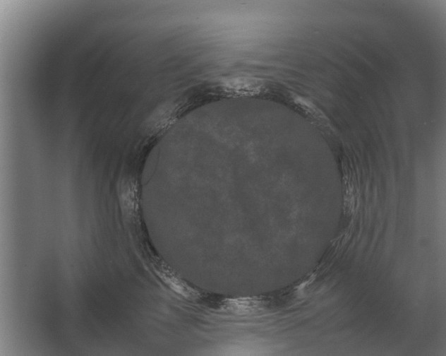 X0000062630713200601041031