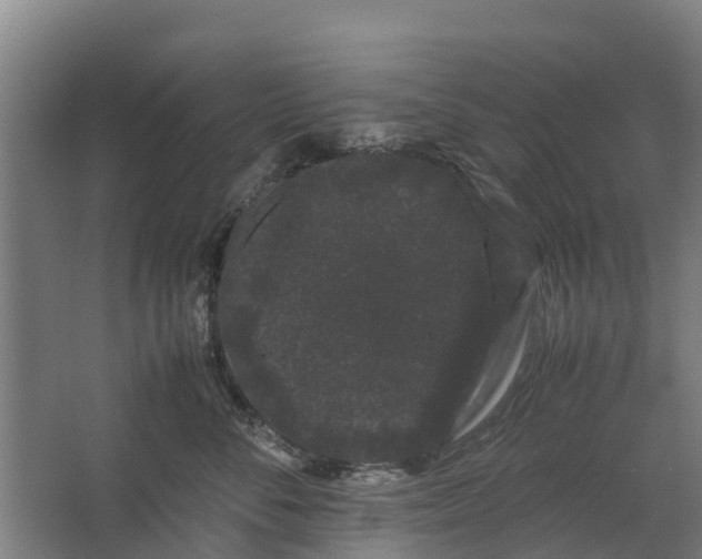 X0000062630716200601041031