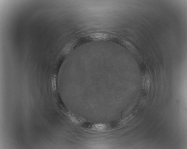 X0000062630717200601041031