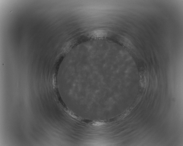 X0000062630718200601041031