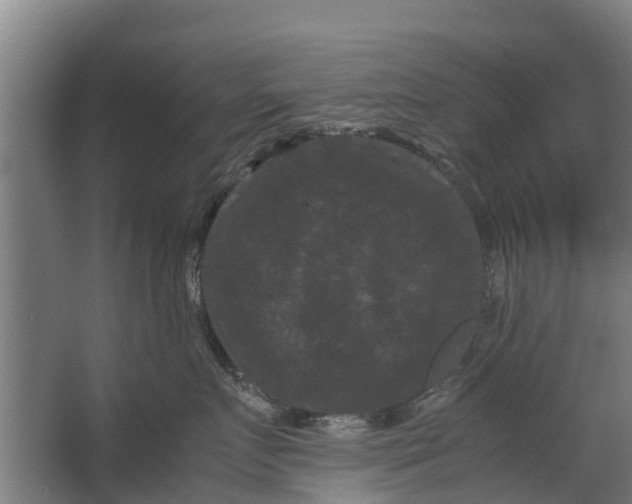 X0000062630719200601041031