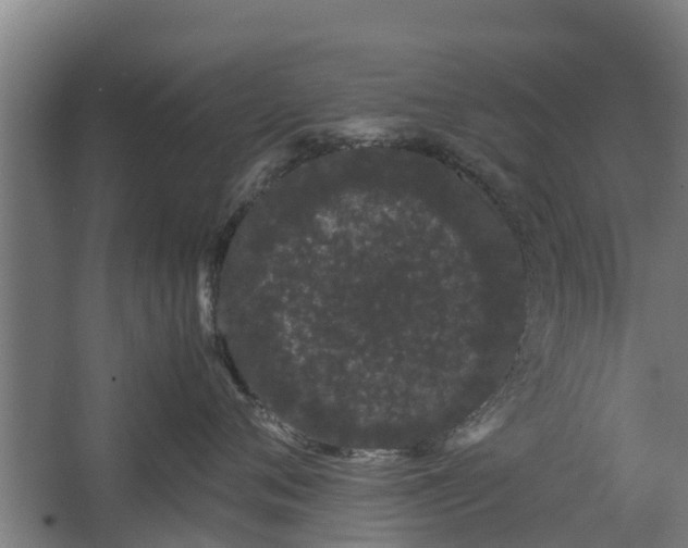 X0000062630720200601041031