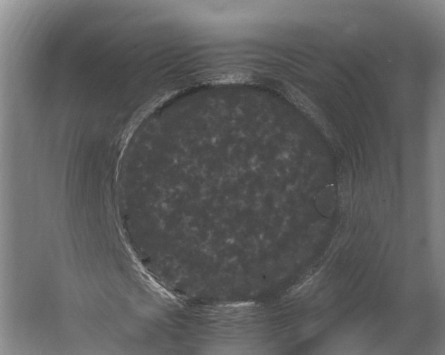 X0000062630721200601041030