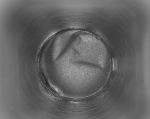 X0000062630723200601041030