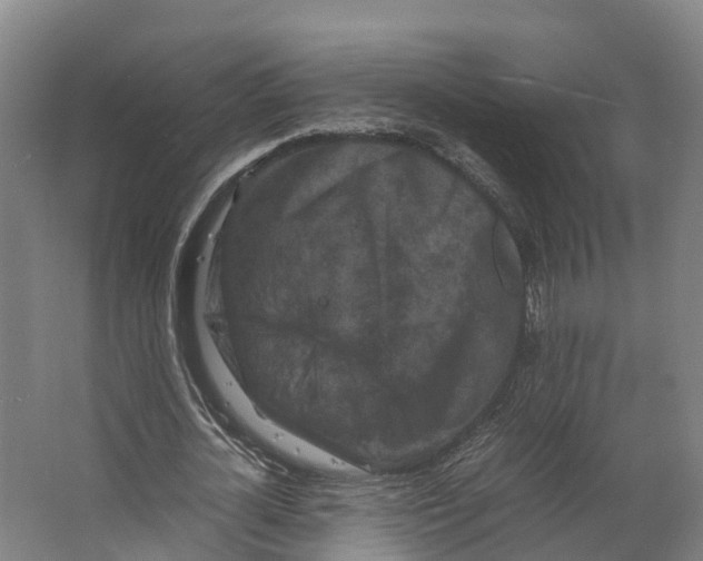 X0000062630724200601041030