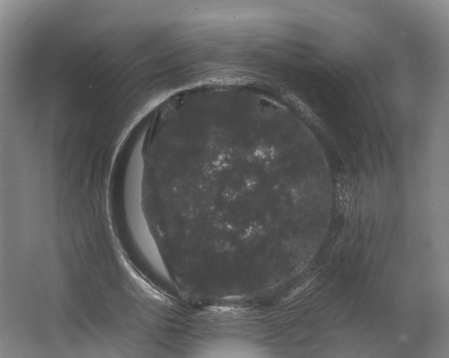 X0000062630726200601041030