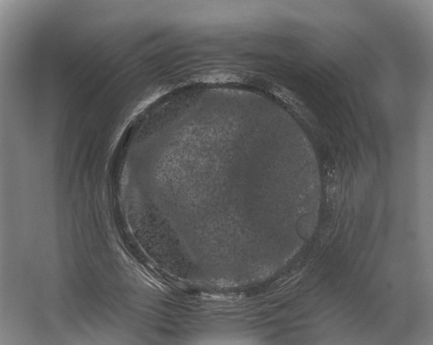 X0000062630727200601041030