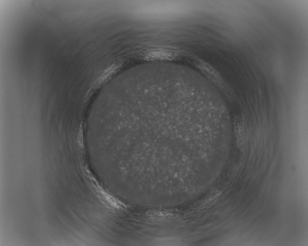 X0000062630729200601041030