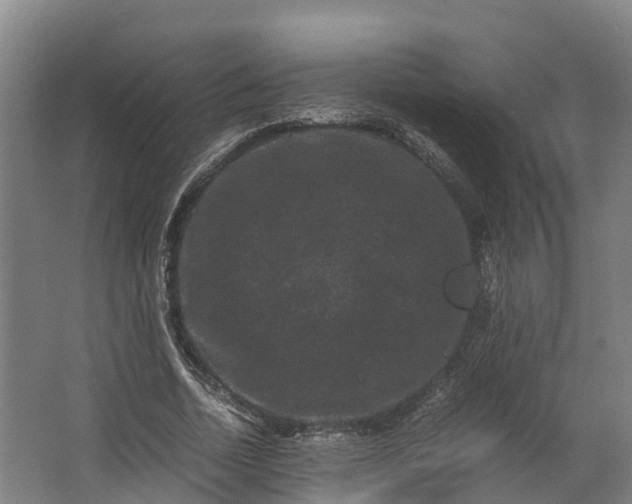 X0000062630730200601041030