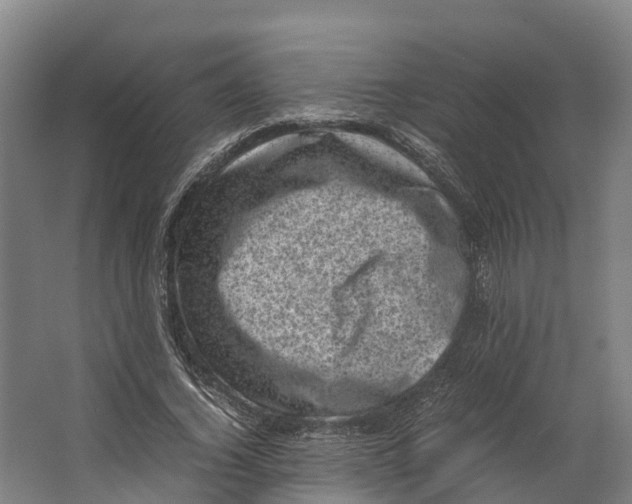 X0000062630732200601041030