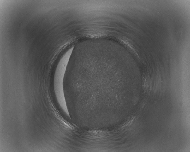 X0000062630733200601041030