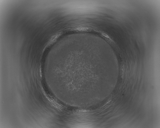 X0000062630734200601041030