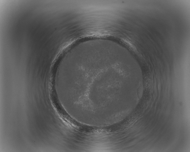 X0000062630736200601041030