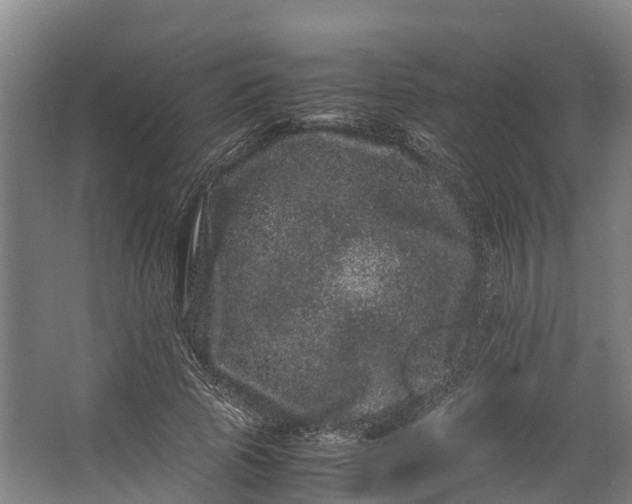 X0000062630737200601041030