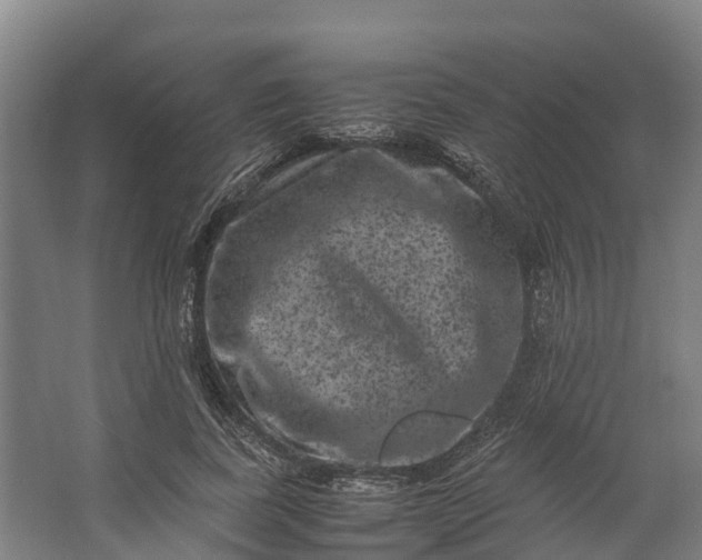 X0000062630739200601041030