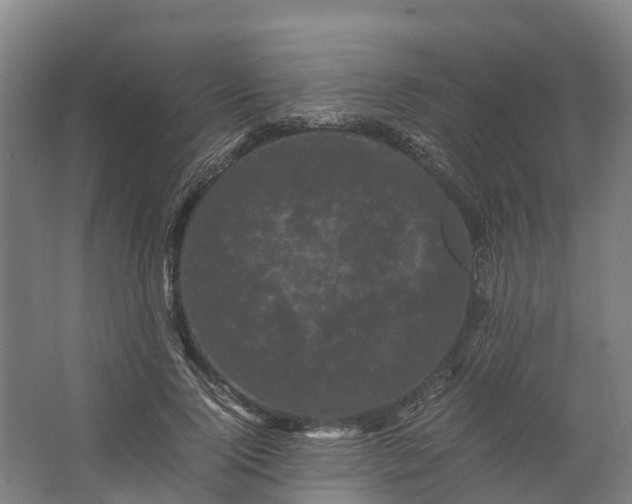 X0000062630740200601041030